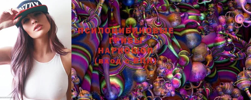 Псилоцибиновые грибы MAGIC MUSHROOMS Фролово